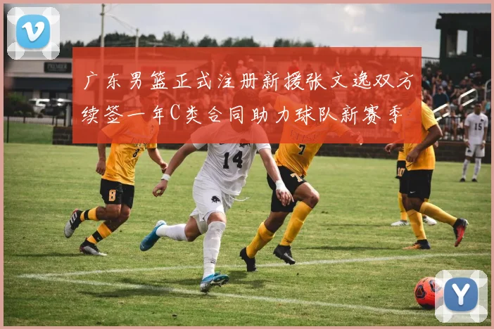 广东男篮正式注册新援张文逸双方续签一年C类合同助力球队新赛季
