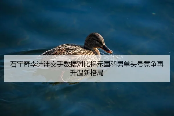 石宇奇李诗沣交手数据对比揭示国羽男单头号竞争再升温新格局